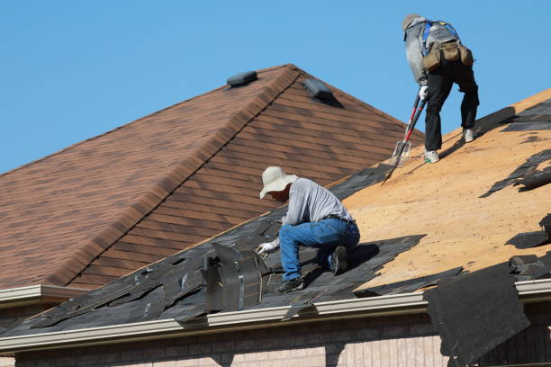 Best Gutter Installation and Repair  in Louisville, TN