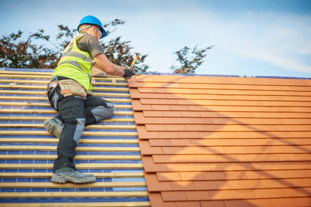 Best Asphalt Shingles Roofing  in Louisville, TN