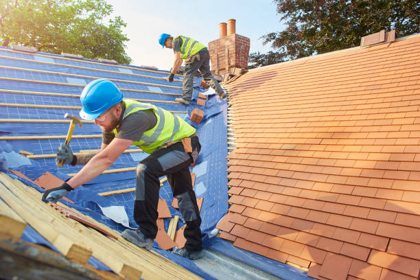 Best Gutter Installation and Repair  in Louisville, TN